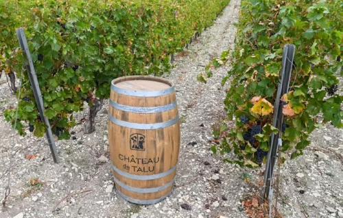 В РОССИИ УТВЕРДИЛИ ИЗМЕНЕНИЯ В ГОСТ НА ОРГАНИЧЕСКУЮ ПРОДУКЦИЮ