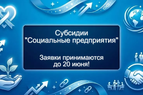 СУБСИДИИ «СОЦИАЛЬНЫЕ ПРЕДПРИЯТИЯ»